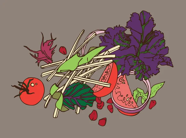 Salade — Image vectorielle