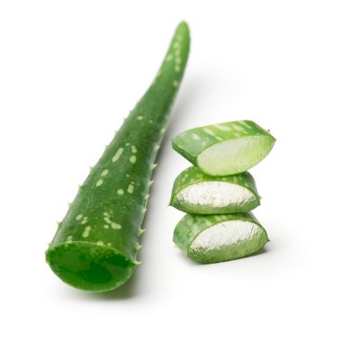 Aloe vera clipart