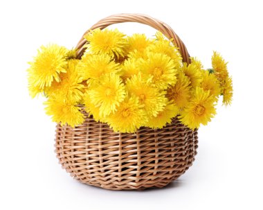 Dandelions in a basket clipart