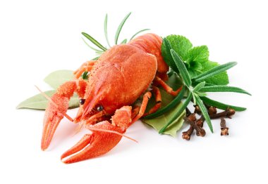 Boiled crayfish clipart