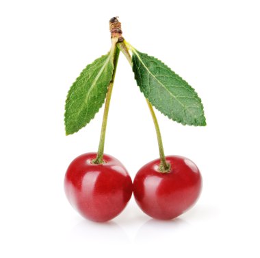 Cherries clipart