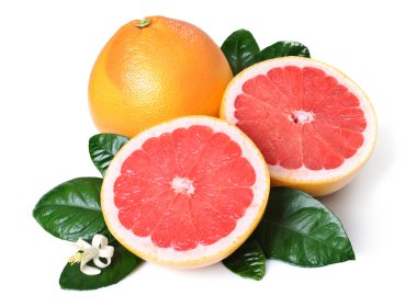 Grapefruits clipart