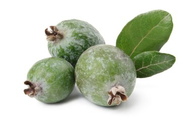 Feijoa ve yaprakları.