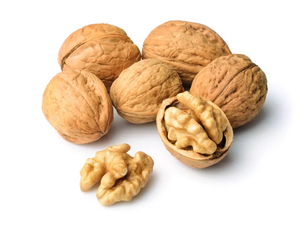 stock image Walnuts