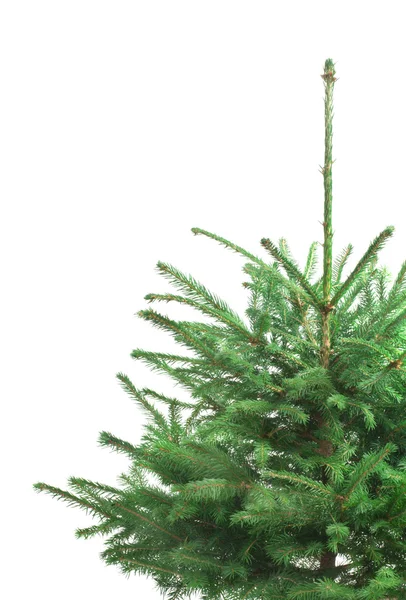 緑のクリスマスの毛皮ツリーの半分 — ストック写真