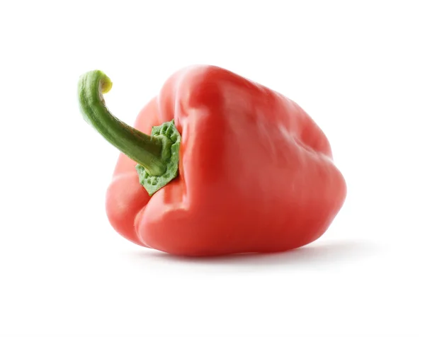 Paprica roja fresca — Foto de Stock