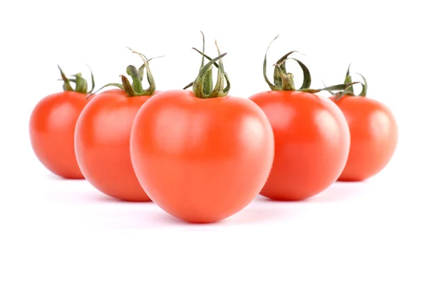 Verse tomaten. geïsoleerd op witte achtergrond — Stockfoto