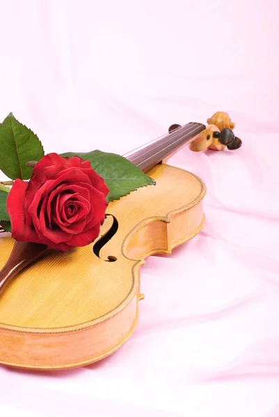 Viola, rosa, y hoja de música —  Fotos de Stock