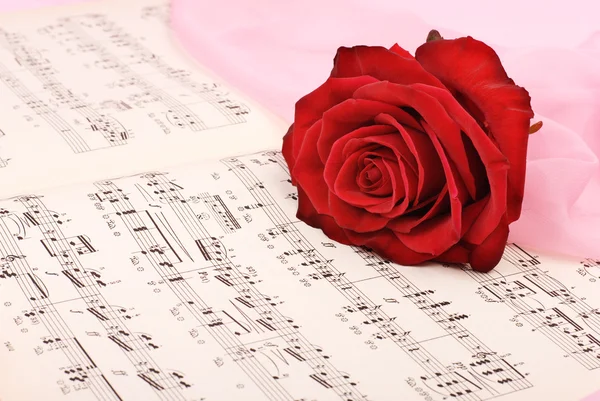 Antiche note musicali con una singola rosa in cima . — Foto Stock