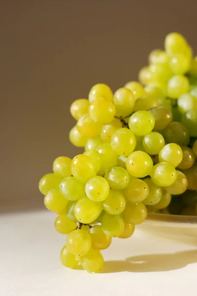 Ramo de uvas frescas —  Fotos de Stock