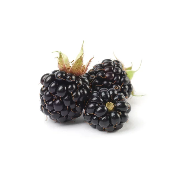 Dewberry isolado sobre branco — Fotografia de Stock