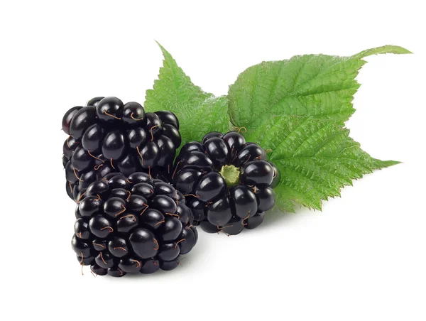 Three dewberries (blackberries) — Stock Photo, Image