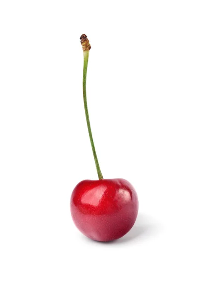 Dojrzałe wiśnia czerwony na białym tle — Zdjęcie stockowe