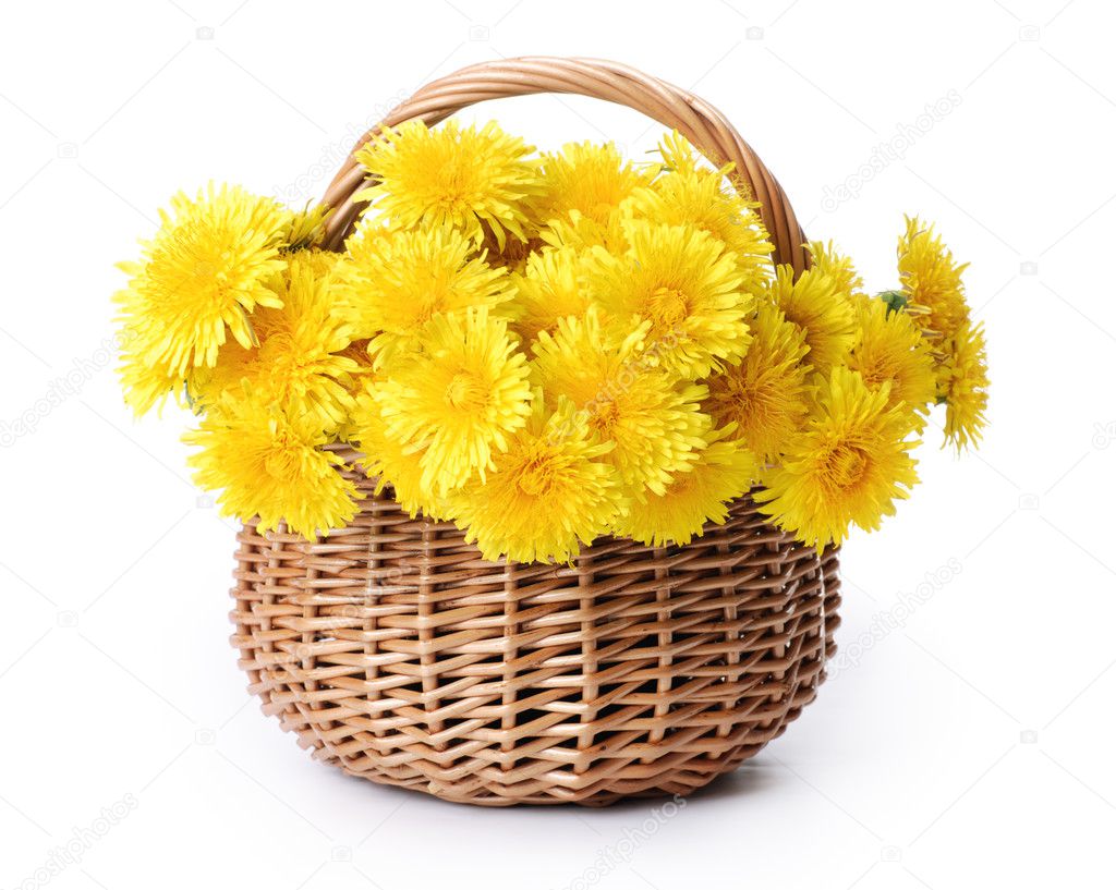 Dandelions in a basket