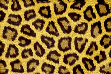 leopar kürkü