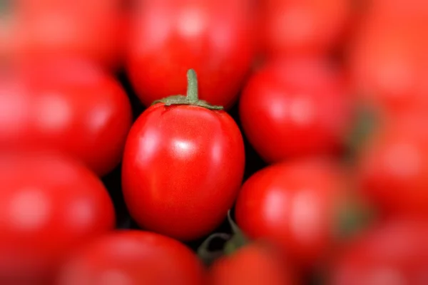 トマトの赤 — ストック写真