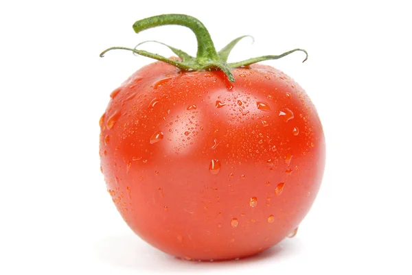 Jeden pomidor — Zdjęcie stockowe