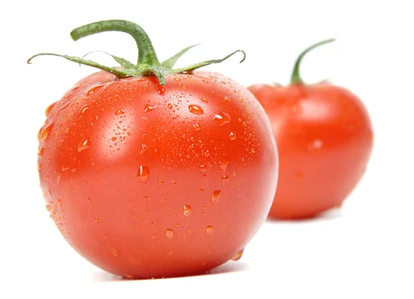 Tomaten isoliert — Stockfoto