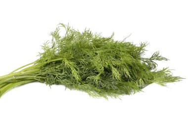 Dill.