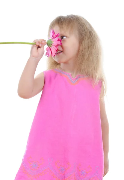 Meisje in een roze jurk snuiven een bloem. — Stockfoto