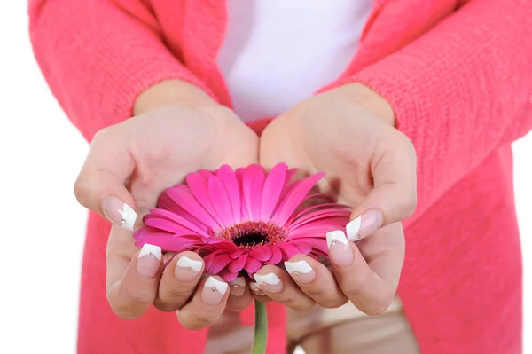 Blume in weiblichen Händen. — Stockfoto