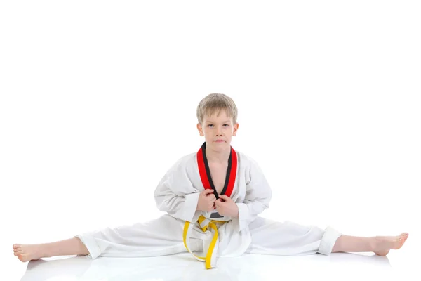 Young student of martial arts — Stock Photo, Image