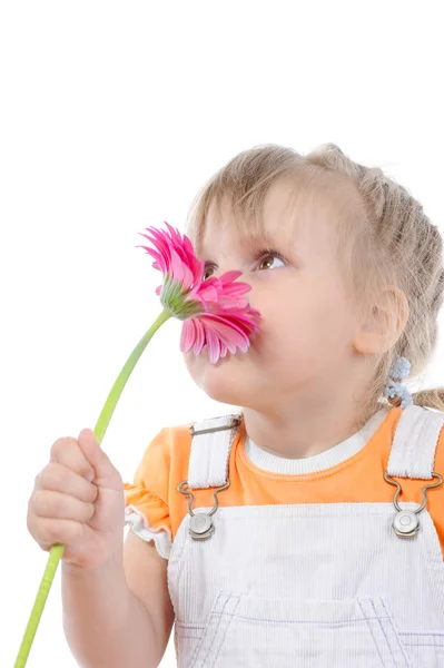 Liten flicka vädra en blomma. — Stockfoto