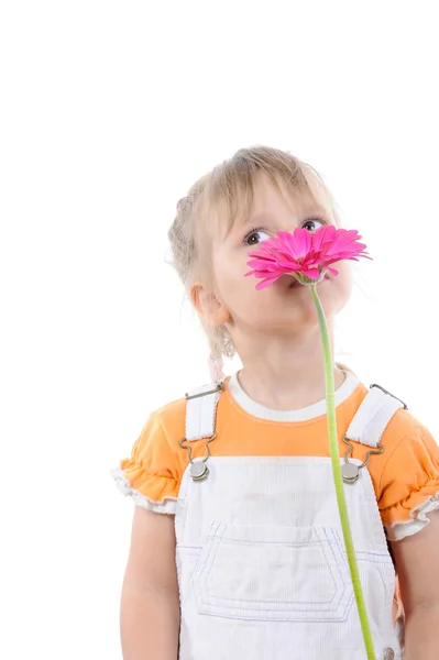 Menina cheira uma flor . — Fotografia de Stock