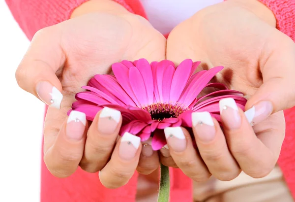 Квітка в жіночій руці — стокове фото