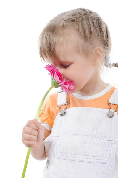 Mädchen schnuppert eine Blume. Stockbild