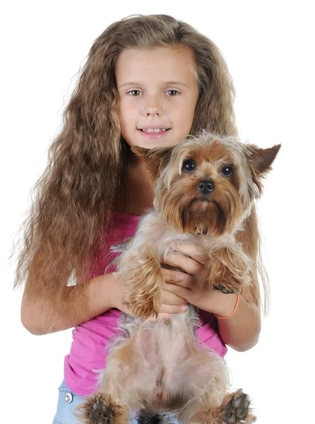 stock image Beautiful girl with a dog in her arms.