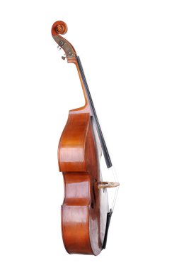 Images of the classical contrabass. clipart