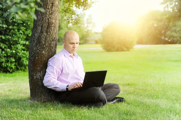 Человек с ноутбуком сидит рядом с деревом — стоковое фото