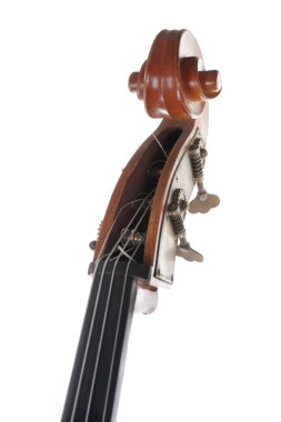 Headstock contrabass. clipart