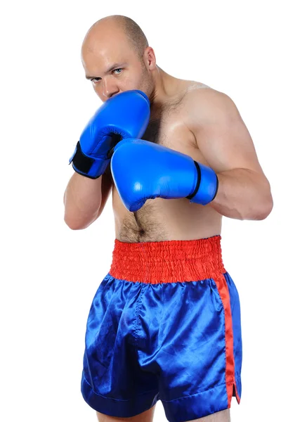 Boxer — Stock Photo, Image