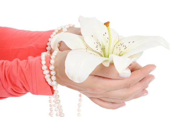 Flor em uma bela palmas femininas . — Fotografia de Stock