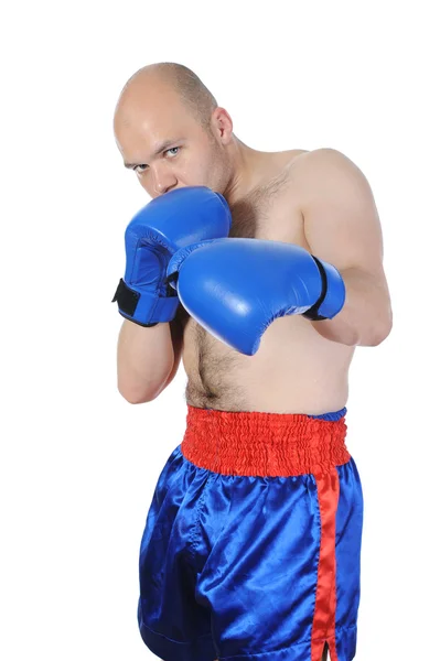 Portret doświadczonym bokserem Obraz Stockowy