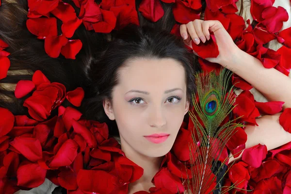 Piękna brunetka w płatkach róży — Zdjęcie stockowe