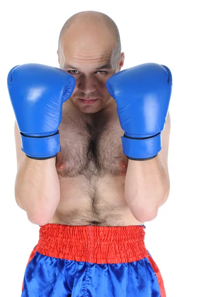 Portret doświadczonym bokserem — Zdjęcie stockowe