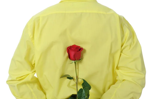 Άνθρωπος σε ένα κίτρινο πουκάμισο, κρατώντας ένα κόκκινο τριαντάφυλλο — Φωτογραφία Αρχείου