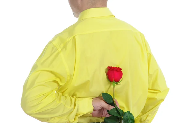 Muž ve žluté košili, držící červená růže — Stock fotografie