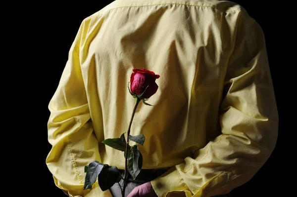 Άνθρωπος σε ένα κίτρινο πουκάμισο, κρατώντας ένα κόκκινο τριαντάφυλλο — Φωτογραφία Αρχείου
