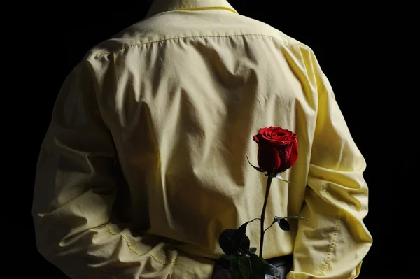Człowiek w żółta koszulka gospodarstwa czerwona róża — Zdjęcie stockowe