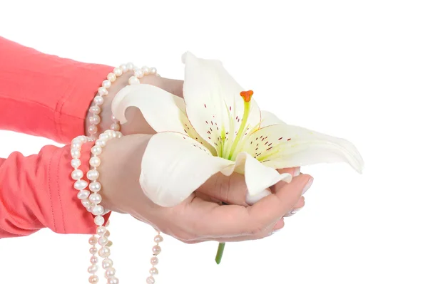 Květina v krásné ženské dlaně. — Stock fotografie