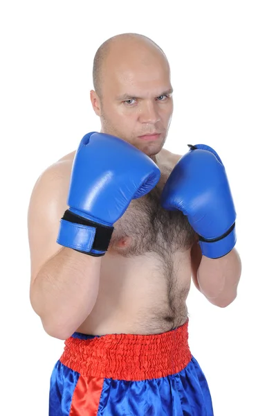 Deneyimli bir boksör portresi — Stok fotoğraf