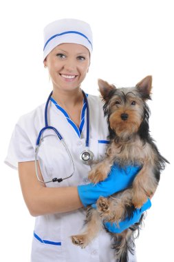 Veterinary with a dog for a review clipart