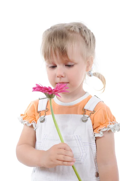 Menina cheira uma flor . — Fotografia de Stock