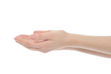 Human hand held up. clipart