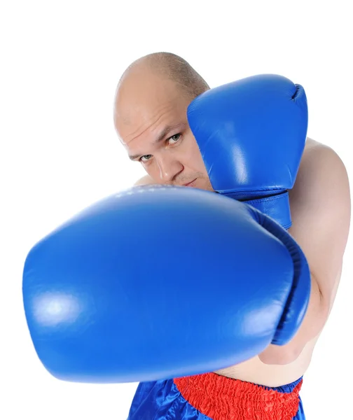 Boxer in guanti blu — Foto Stock
