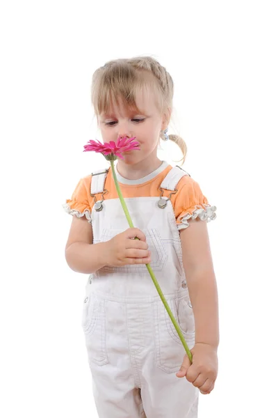 Κορίτσι sniffs ένα λουλούδι. — Φωτογραφία Αρχείου